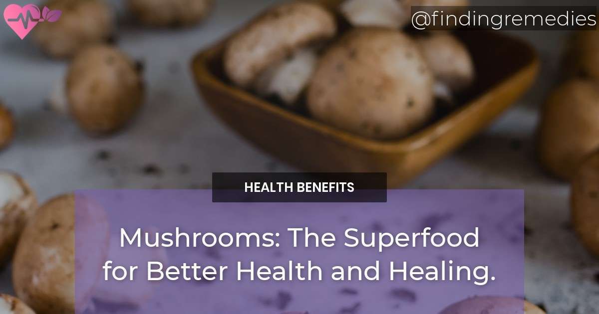 Health Benefits of Mushrooms The Superfood for Better Health and Healing.