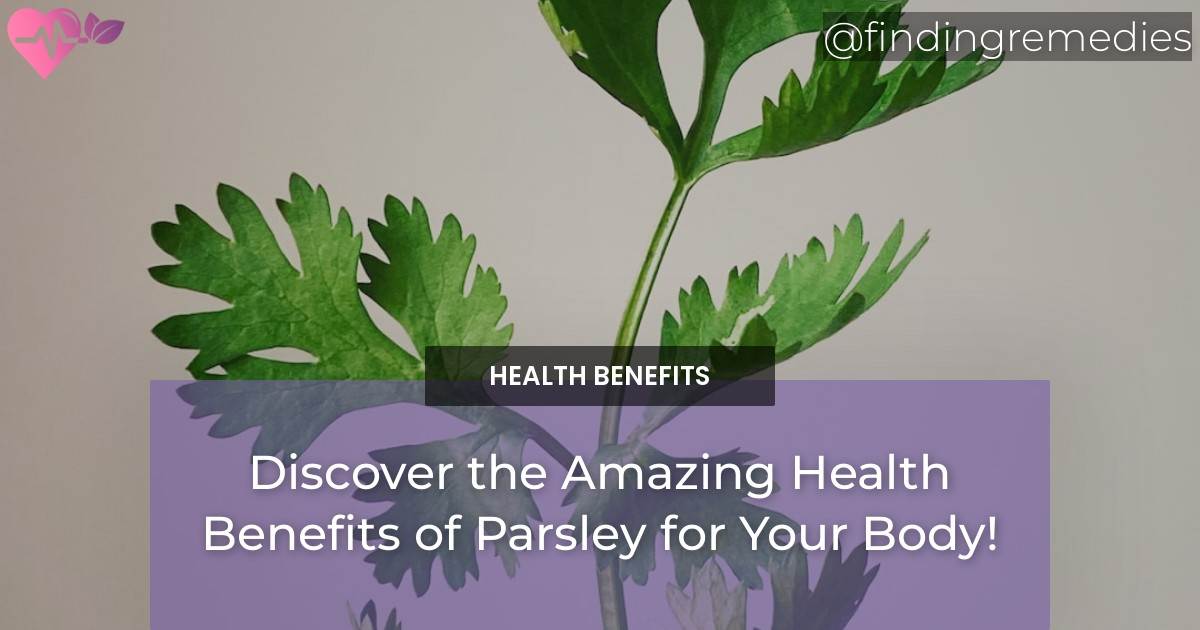 Discover the Amazing Health Benefits of Parsley for Your Body