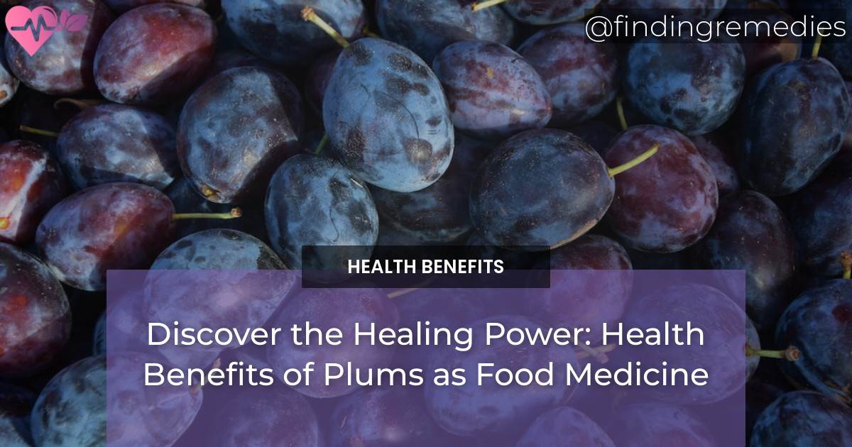 Discover the Healing Power Health Benefits of Plums as Food Medicine Finding Remedies