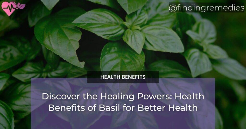 Discover the Healing Powers Health Benefits of Basil for Better Health Finding Remedies