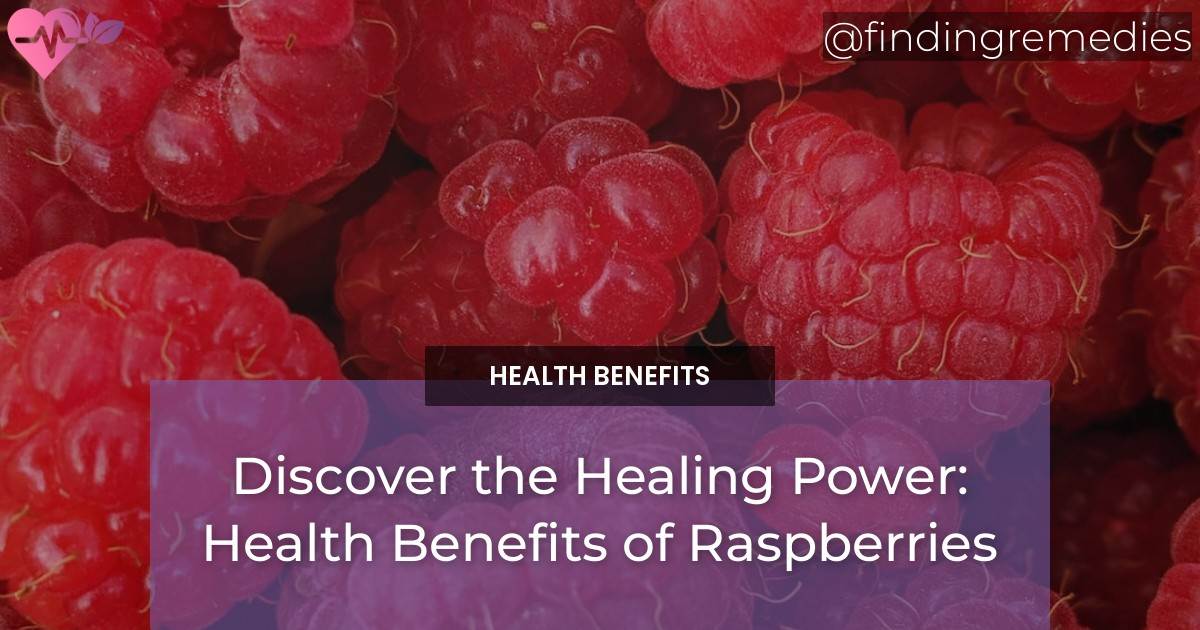 Discover The Healing Power Health Benefits Of Raspberries Finding