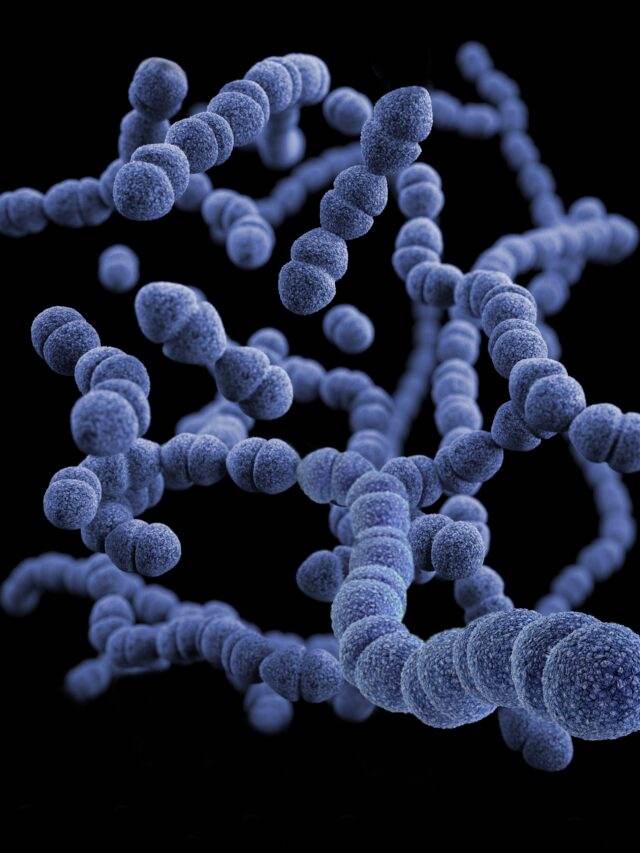 The Surprising Link Between High-Fat Diets and Gut Health