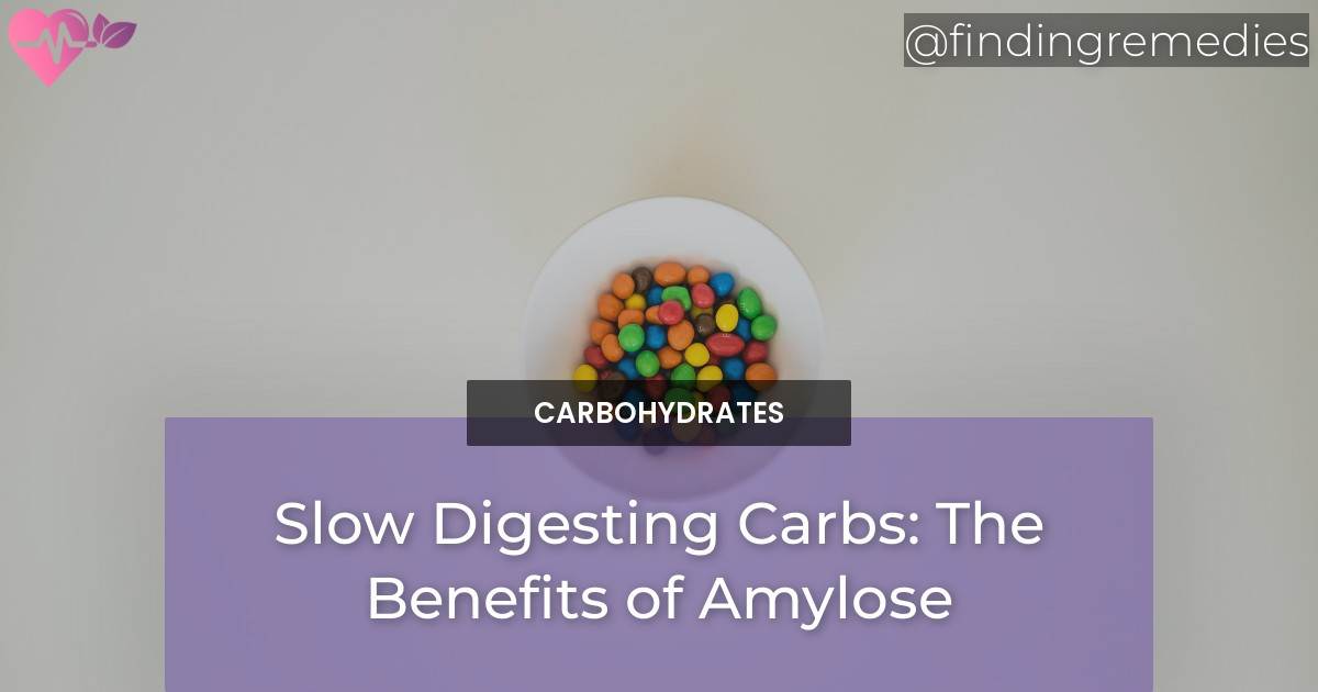 Slow Digesting Carbs The Benefits of Amylose Finding Remedies