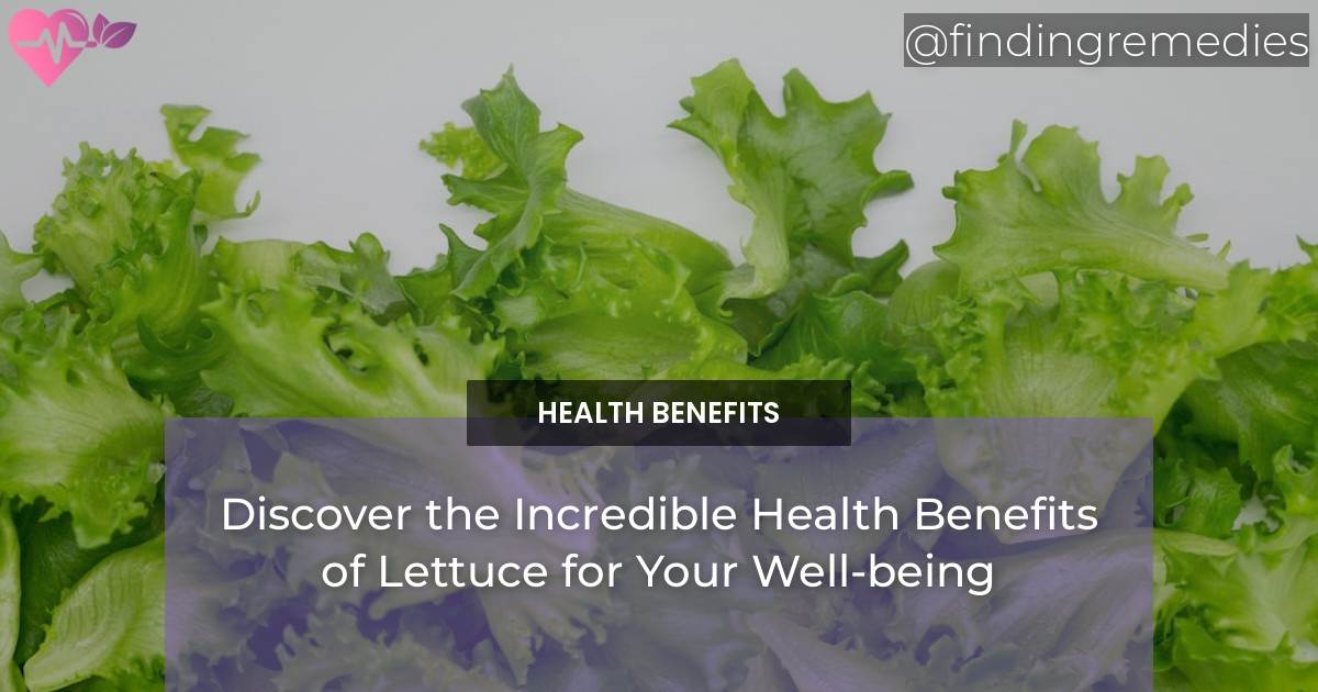Discover the Incredible Health Benefits of Lettuce for Your Wellbeing