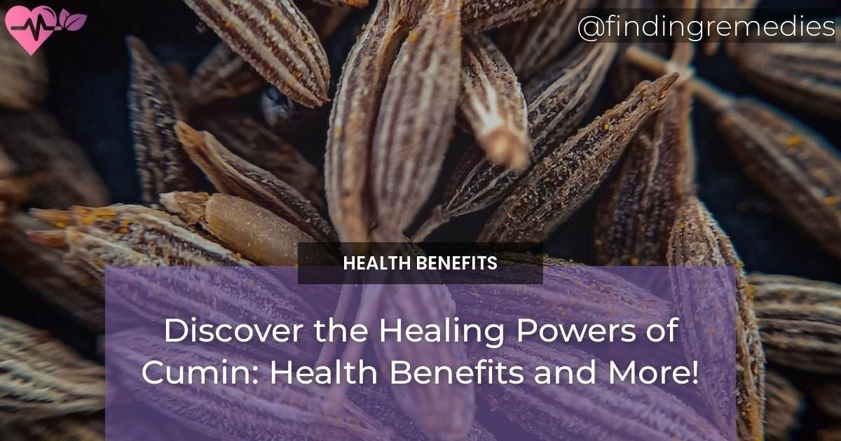 Discover the Healing Powers of Cumin Health Benefits and More