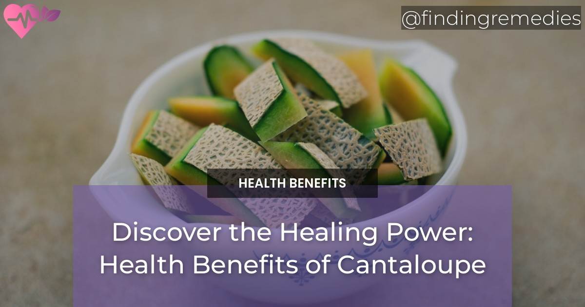 Discover the Healing Power Health Benefits of Cantaloupe Finding