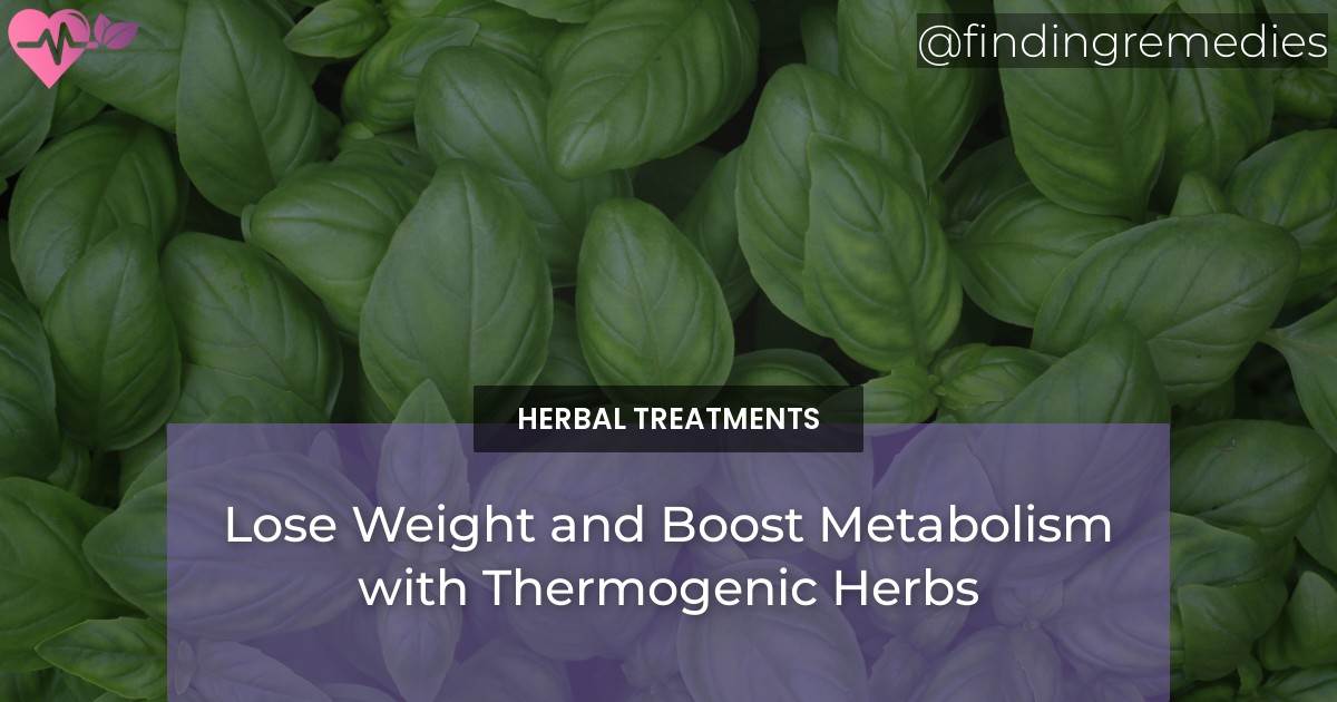 Lose Weight And Boost Metabolism With Thermogenic Herbs - Finding Remedies