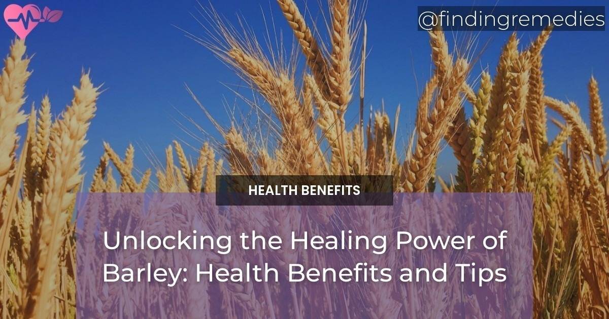Unlocking the Healing Power of Barley Health Benefits and Tips