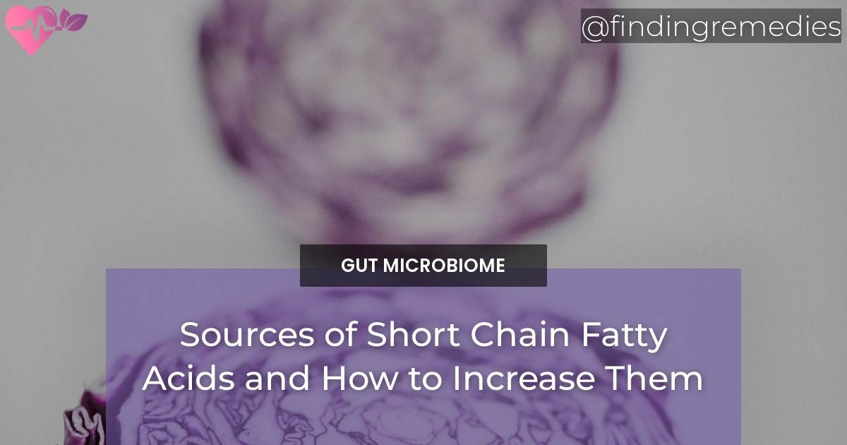 Sources Of Short Chain Fatty Acids And How To Increase Them Finding   Muxh8lY 