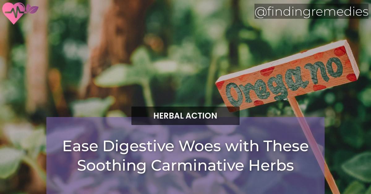 Carminative Ease Digestive Woes with These Soothing Carminative Herbs