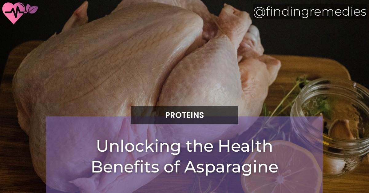 Unlocking the Health Benefits of Asparagine Finding Remedies
