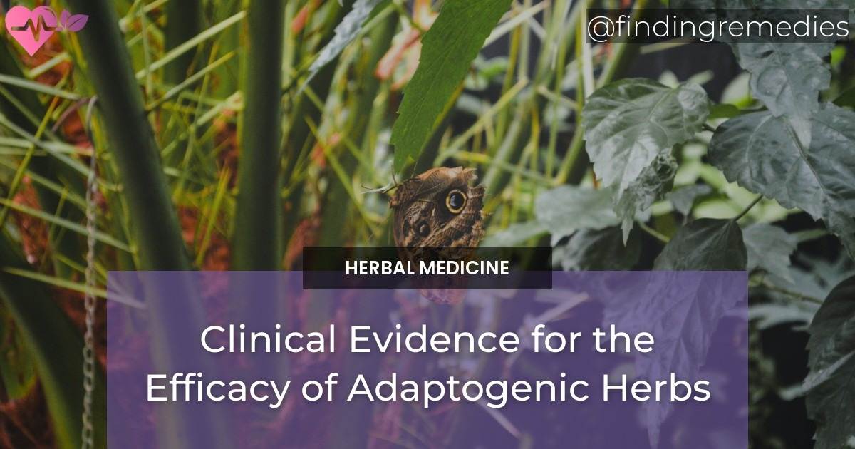 Stunning Adaptogenic Herbs For Reptile Digestion image