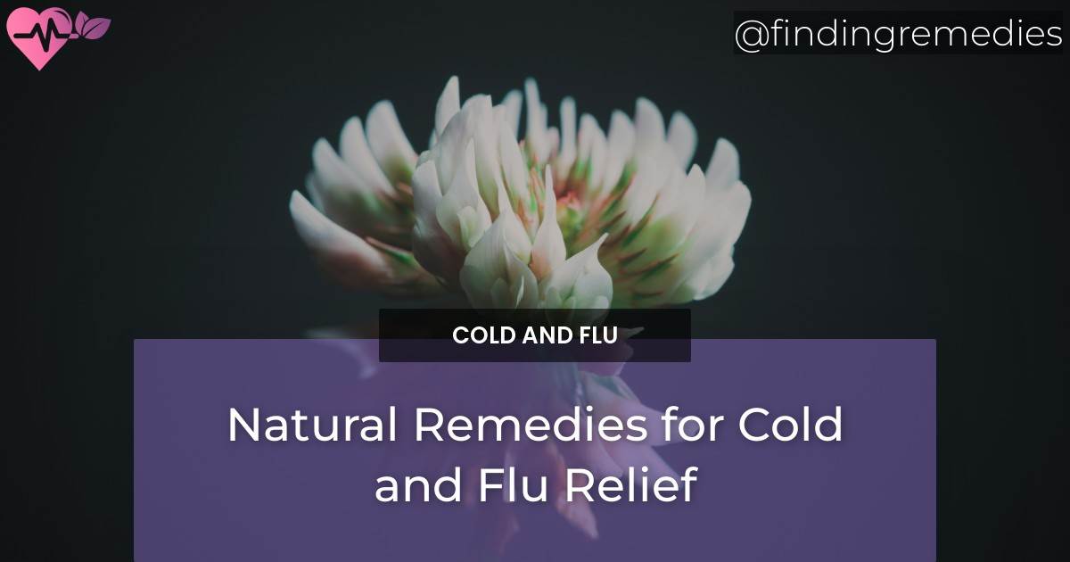 Natural Remedies For Cold And Flu Relief